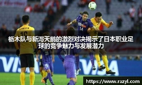 bsports必一体育